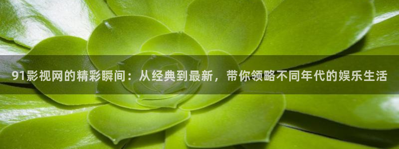 免费影院天狼：91影视网的精彩瞬间：从经典到最新，带你领略不同年代的娱乐生活