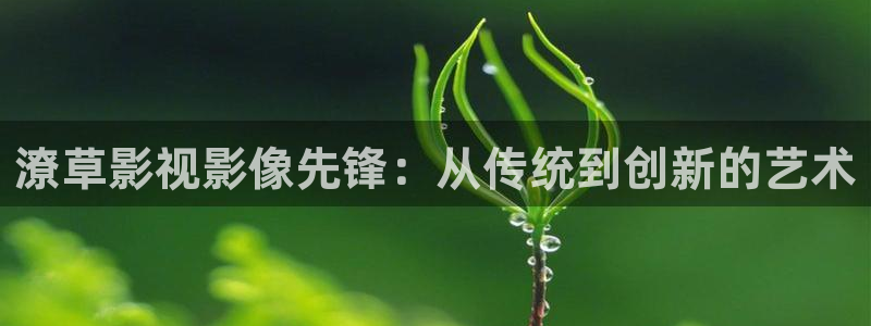天狼影视剧免费观看：潦草影视影像先锋：从传统到创新的艺术
