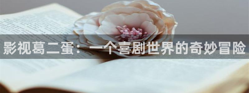 天狼影院妈妈的朋友：影视葛二蛋：一个喜剧世界的奇妙冒险