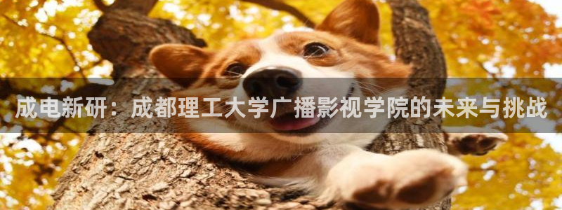 2021年天狼影院：成电新研：成都理工大学广播影视学院的未来与挑战