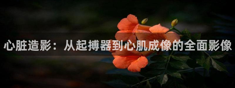 天狼影院jxj：心脏造影：从起搏器到心肌成像的全面影像