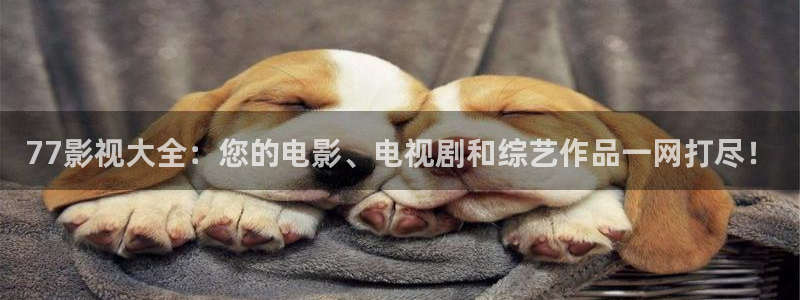 天狼电影免费观看完整：77影视大全：您的电影、电视剧和综艺作品一网打尽！