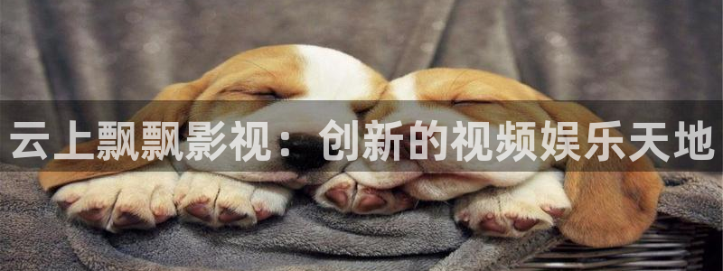 天狼影院手机：云上飘飘影视：创新的视频娱乐天地