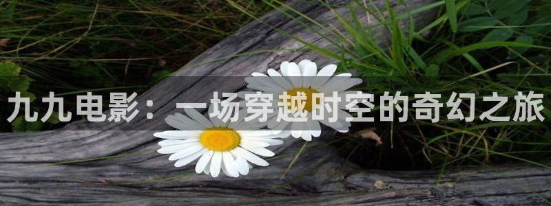 天狼影院年轻的母亲：九九电影：一场穿越时空的奇幻之旅