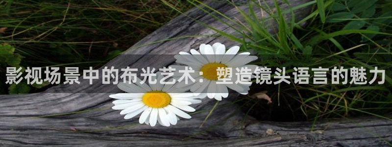天狼影院手机版免费观看：影视场景中的布光艺术：塑造镜头语言的魅力